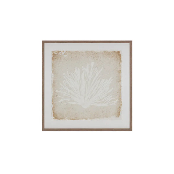Aquatic Flora I