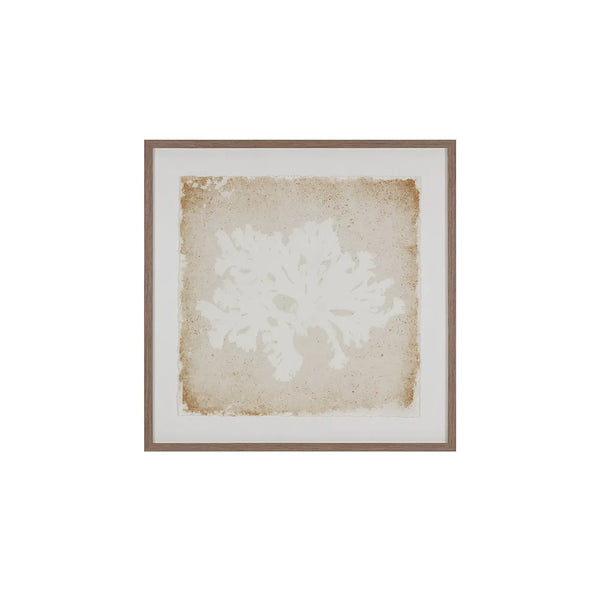 Aquatic Flora II